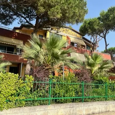 Rio Palace غوليم